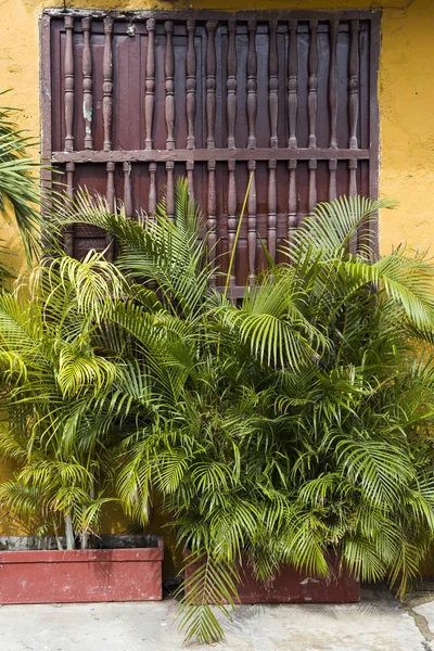 Bekijk Typische Latijns Amerikaanse Koloniale Venster Bolívar Colombië — Stockfoto