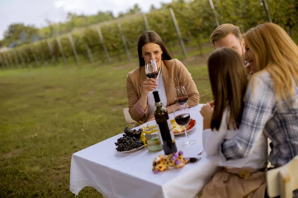 Jovens Gostam Jantar Degustação Vinhos Vinha Pôr Sol — Fotografia de Stock