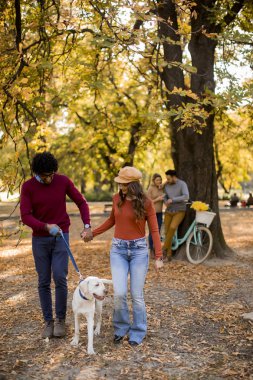Sonbahar parkında köpekle yürüyen çok ırklı genç bir çift.