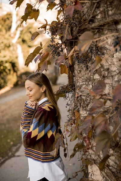 Pretty Young Woman Standing Sunny Autumn Day — Stock Photo, Image