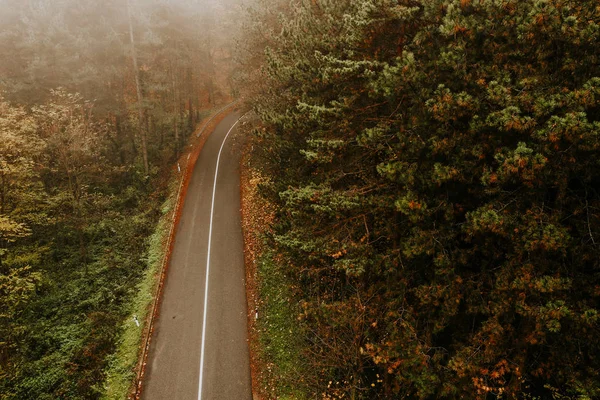 Veduta Aerea Della Fitta Foresta Autunno Con Una Strada Che — Foto Stock