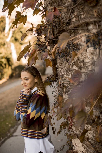 Mooie Jonge Vrouw Staan Buiten Zonnige Herfstdag — Stockfoto