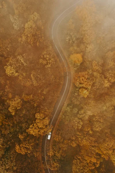 Vista Aérea Floresta Espessa Outono Com Corte Estrada Através — Fotografia de Stock