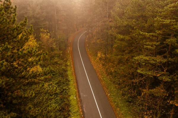 Luftaufnahme Von Dichtem Wald Herbst Mit Durchschneidender Straße — Stockfoto