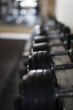 Spor salonunun rafındaki metal dambıl sırasına yaklaş.