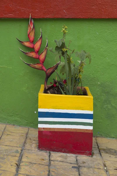 Blick Auf Blumentopf Den Farben Der Kolumbianischen Flagge Auf Der — Stockfoto