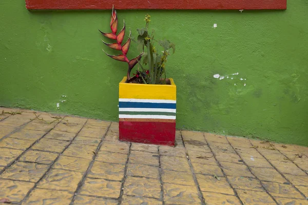 Вид Цветочный Горшок Раскрашенный Цвета Колумбийского Флага Улице Богота Колумбия — стоковое фото