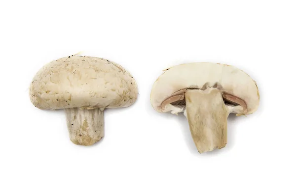 Fatias Cogumelos Isoladas Fundo Branco — Fotografia de Stock