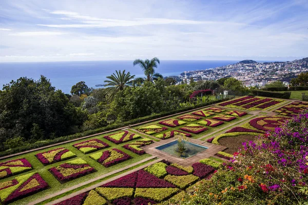 Funchal Portal 2020年2月13日 ポルトガルのフシャル市におけるマデイラ植物園の詳細 庭園は1960年に一般公開され 年間345 000人以上の観光客がいます — ストック写真