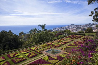 FUNCHAL, PORTUGAL - 13 Şubat 2020: Fuchal, Portekiz 'deki Madeira Botanik Bahçesinin Detayları. Bahçe 1960 yılında halka açıldı ve yılda 345 binden fazla ziyaretçi alıyor.