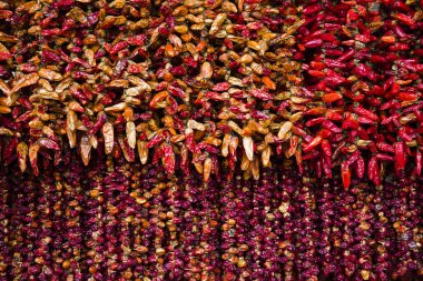 Portekiz 'in Madeira adasındaki Funchal' da kırmızı biber pazarı.