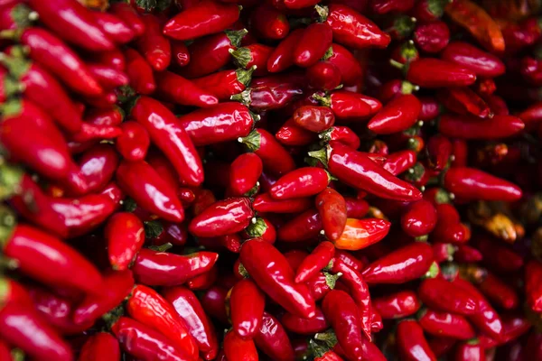 Rote Chilischoten Auf Dem Markt Funchal Auf Madeira Portugal — Stockfoto