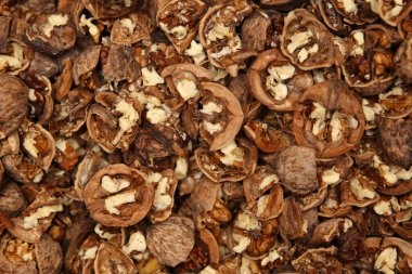 Kırık ceviz yığınına yakın çekim