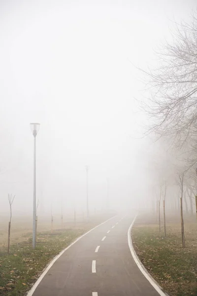 View Bike Path Foggy Winter Day — Stock Photo, Image