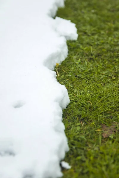 Yeşil Çimenlerin Üzerinde Eriyen Kar Kış Bahar Arasındaki Kadar Yakındır — Stok fotoğraf