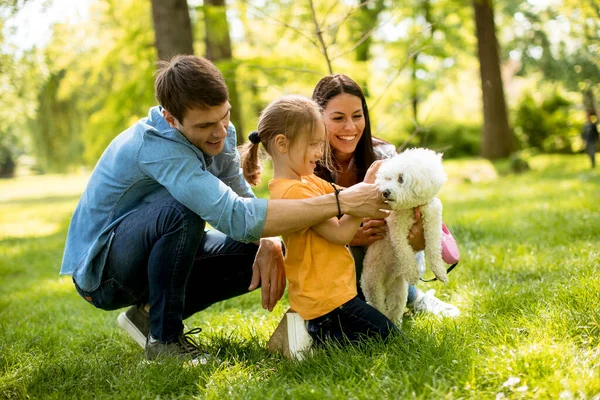 Beautiful Happy Family Having Fun Bishon Dog Outdoors Park — Stock Photo, Image