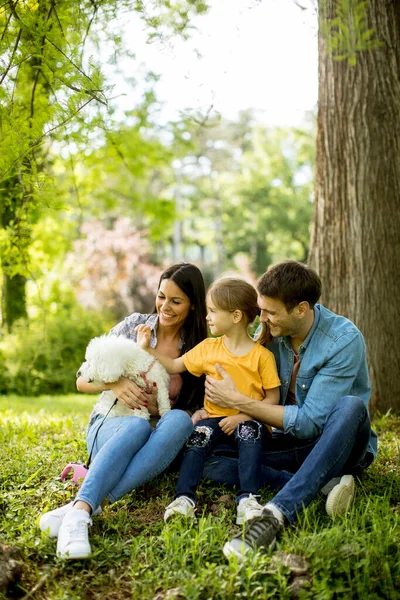 Belle Famille Heureuse Amuse Avec Chien Bishon Extérieur Dans Parc — Photo