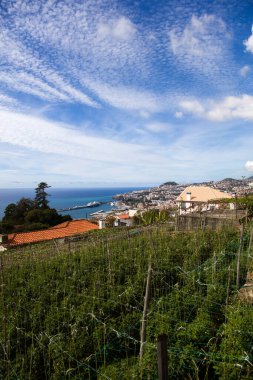 Portekiz 'in Madeira adasındaki Funchal kasabasının uzak manzarası