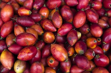 Portekiz 'in Madeira adasındaki Funchal pazarında taze ağaç domatesi (tamarillo)
