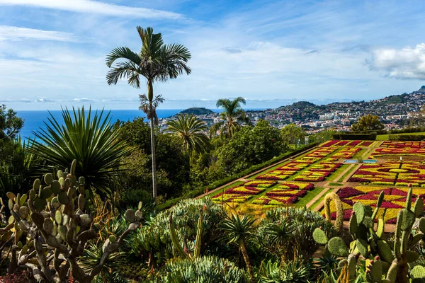 Funchal Portal 2020年2月13日 ポルトガルのフシャル市におけるマデイラ植物園の詳細 庭園は1960年に一般公開され 年間345 000人以上の観光客がいます — ストック写真