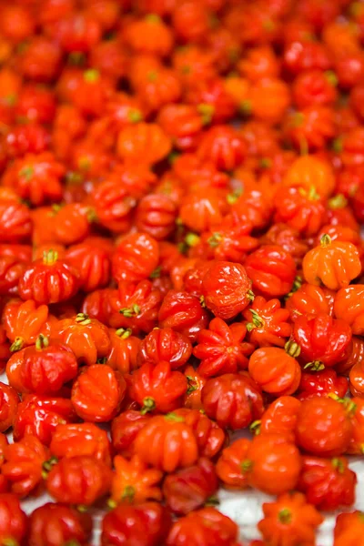 Surinam Körsbär Pitanga Marknaden Funchal Madeira Portugal — Stockfoto