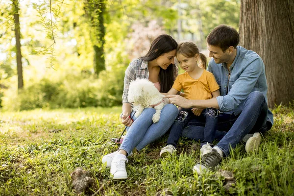 Hermosa Familia Feliz Divierte Con Perro Bishon Aire Libre Parque — Foto de Stock