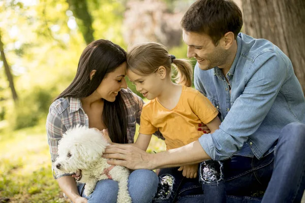 Beautiful Happy Family Having Fun Bishon Dog Outdoors Park Tree — Stock Photo, Image