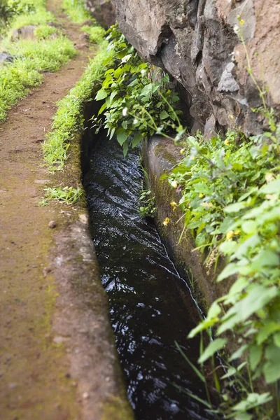 Close Small Irrigation Channel Farmland — стоковое фото