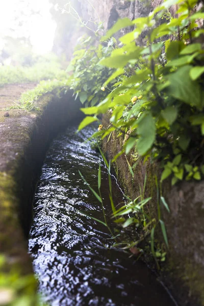 Nahaufnahme Des Kleinen Bewässerungskanals Auf Dem Ackerland — Stockfoto