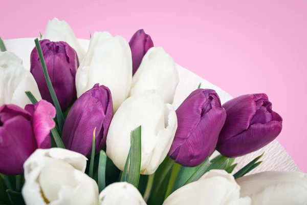 Kilka purpurowe i białe tulipany — Zdjęcie stockowe