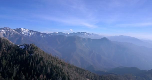 Antenn skott av den Sierra nationella Fores — Stockvideo