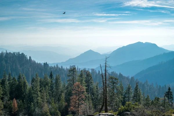 Landschap van Sequoia National park — Stockfoto