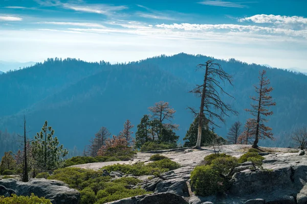 Paisagem do Parque Nacional de Sequoia — Fotografia de Stock