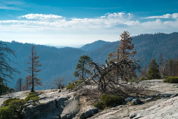 Paysage du parc national Sequoia — Photo