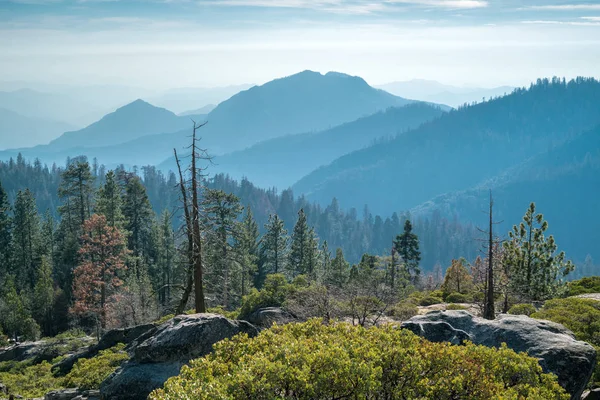 Landschap van Sequoia National park — Stockfoto