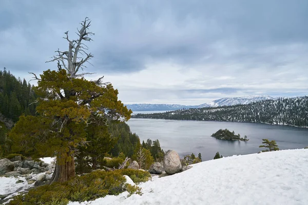 Águas limpas do Lago Tahoe, EUA — Fotografia de Stock