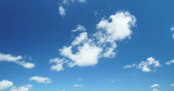 Cumulus blancs nuages sur ciel bleu — Video