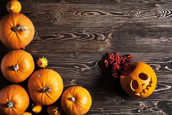 Halloween pumpkins over wooden background — Stock Photo, Image