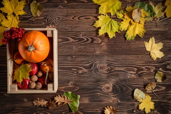 Frutas y hortalizas de otoño — Foto de Stock