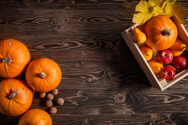 403 835 Pumpkin Background Stock Photos Free Royalty Free Pumpkin Background Images Depositphotos