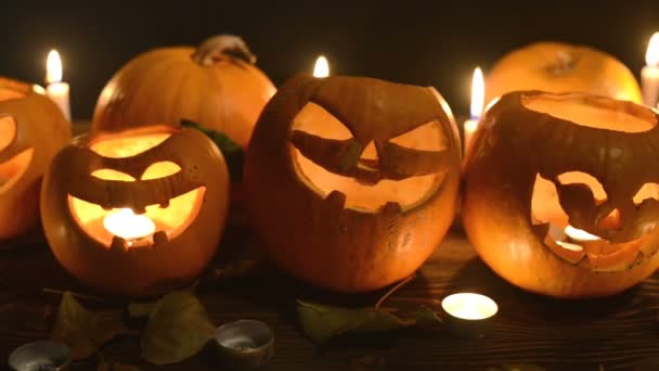 Halloween pumpkins closeup — Stock Video