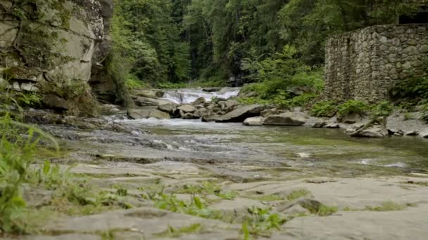 Gebirgsfluss in Schlucht — Stockvideo