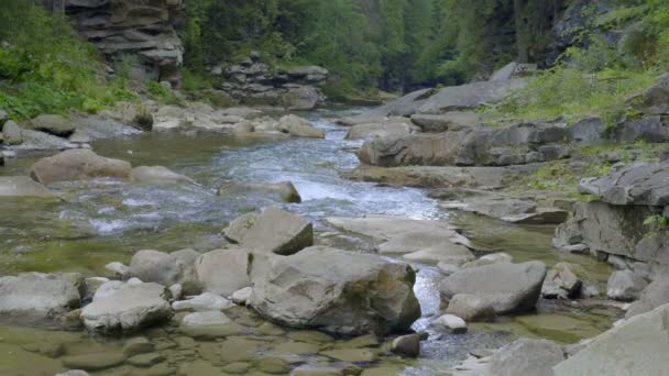 Gebirgsfluss in Schlucht — Stockvideo