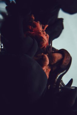  Renkli boya su. Arka plan. Duvar kağıdı. Konsept sanat