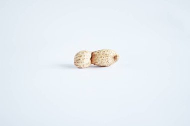 Bir yalnız fındık beyaz bir arka plan üzerinde. Gıda Fotoğraf.