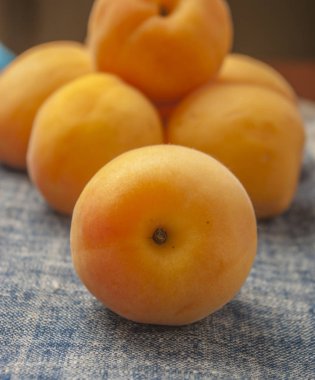 taze kayısı yakın çekim