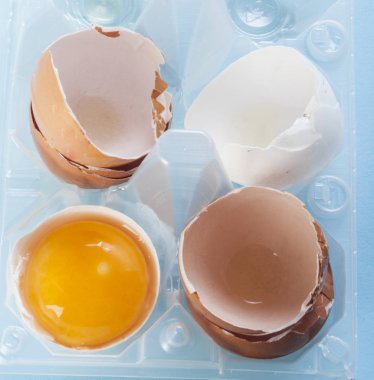 Yumurta, Tavuk Yumurtası