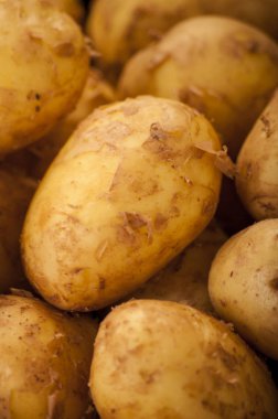 yığın ham taze patates, yakın çekim