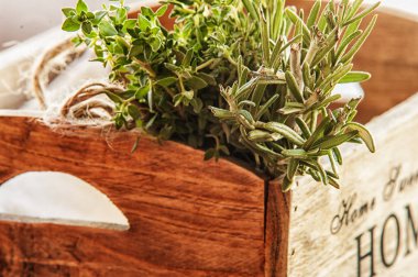 taze ot. Melissa, biberiye ve nane rustik ayarı