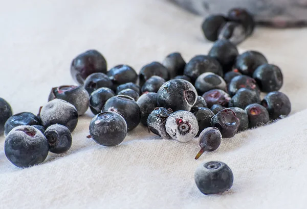 dondurulmuş yaban mersini yakın çekim